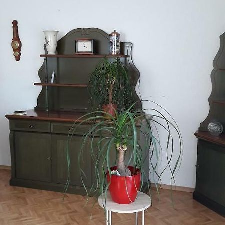 5 Gartenstrasse 安格尔明德 外观 照片